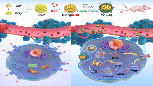 科学家开发“纳米钙离子发生器” 可帮助消除癌细胞的耐药性