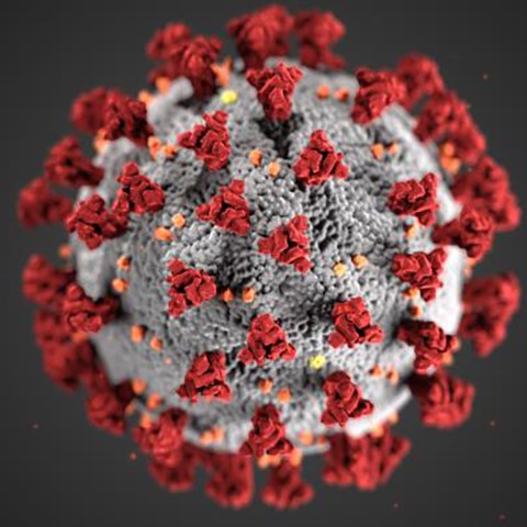 挪威发现新冠病毒新变种，传播能力更强速度更快