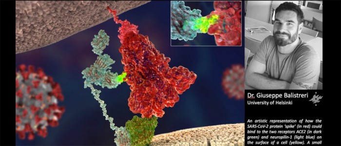 科学家发现一种特殊的受体参与了新冠病毒感染细胞的过程