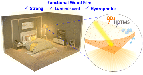 研究团队展示可照亮室内的特殊木材处理工艺