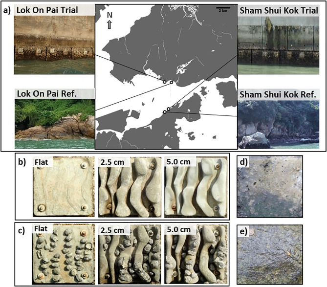 研究称3D打印混凝土砖可促进海堤附近的生物多样性
