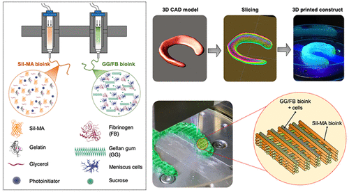 科学家将混合生物墨水用来3D打印结构 有助于修复受损的膝关节软骨