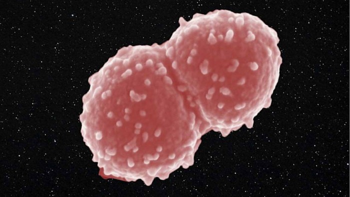 研究称耐辐射球菌在国际空间站外存活了整整一年