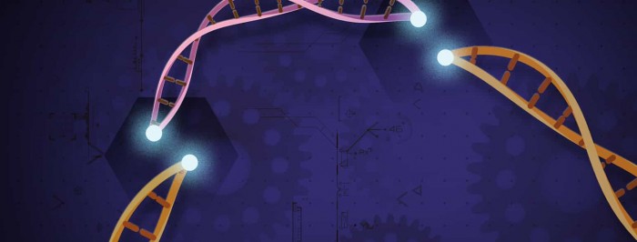 科学家开发出新CRISPR系统：能有针对性、永久地杀死癌细胞