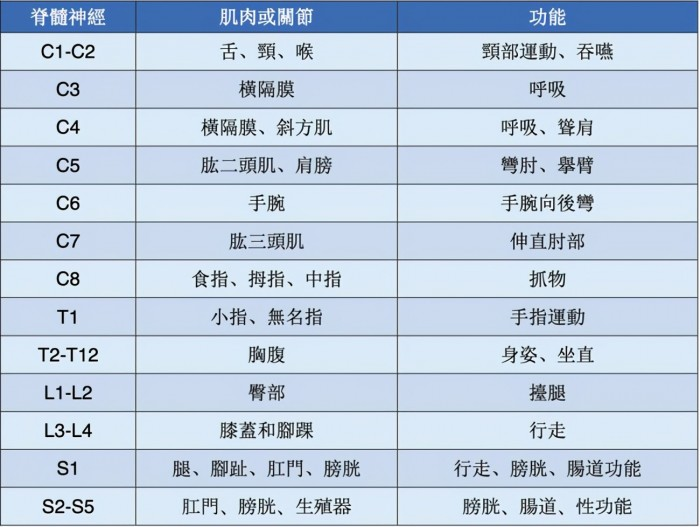 四肢瘫痪患者成功用“大脑意念”操控双机械臂