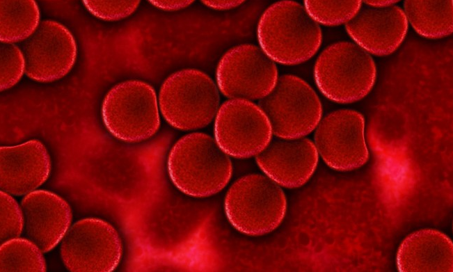 研究称COVID-19重症患者未能从实验性血浆疗法中受益