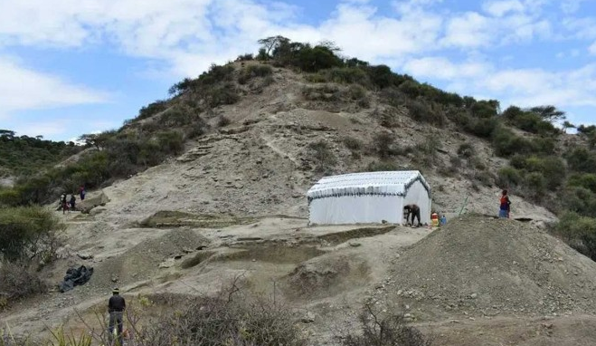 新研究揭示200万年前的古代人类如何使用工具