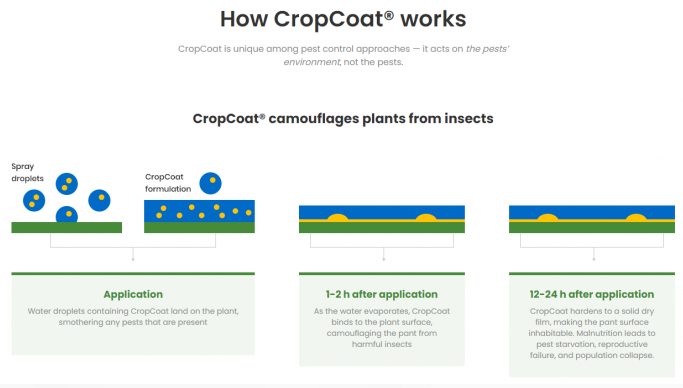 加州创企推出农药替代物CropCoat 可使农作物免受害虫侵害