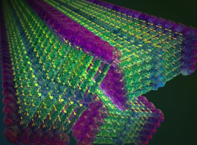 受凯夫拉纤维启发 科学家开发出比钢铁更坚固的“自组装”纳米带