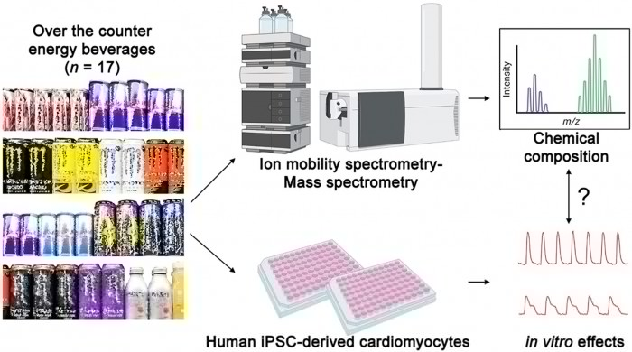 新研究警告市售热门能量饮料或引发严重的健康后果
