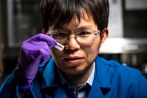 受生物启发 科学家创造一种能够捕捉光能的新型纳米材料