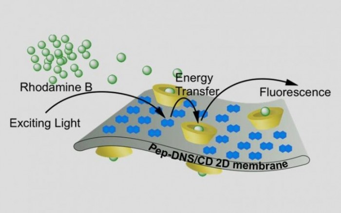 受生物启发 科学家创造一种能够捕捉光能的新型纳米材料
