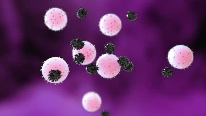 由人肺球状细胞制成的纳米混合物可以与SARS-CoV-2病毒结合并实现中和