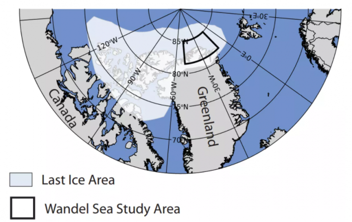 研究：气候变化对北极“最后冰区”的危害可能比预测的更大