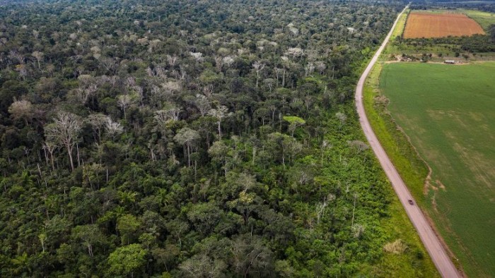 亚马逊旱灾和火灾的中心地区有25亿棵树和藤蔓被杀死