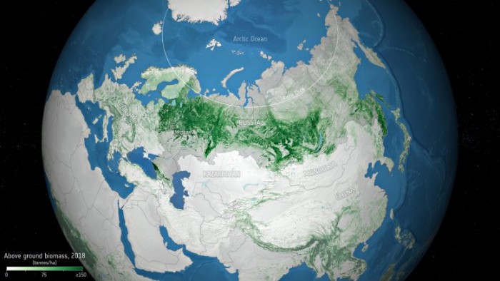 俄罗斯森林储存的碳比此前估计的要多：森林木材蓄积量达1110亿立方米