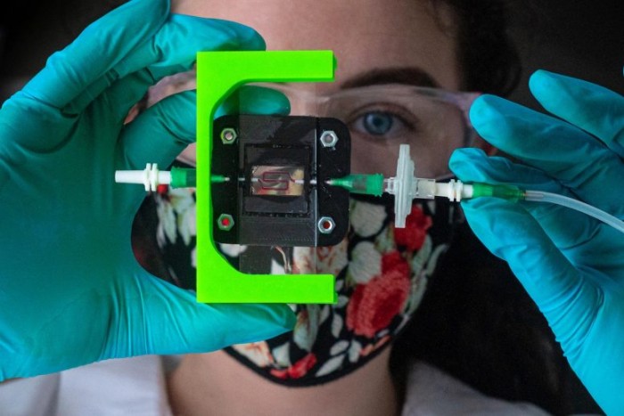 科学家利用3D打印和智能生物材料为1型糖尿病患者制作产生胰岛素的植入物