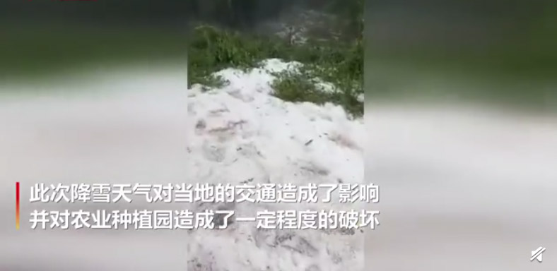 赤道附近的喀麦隆下雪了 当地民众兴奋玩雪：与全球气候变化有关