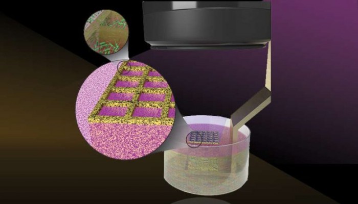 科学家开发出3D打印活微生物的新方法 以增强生物材料