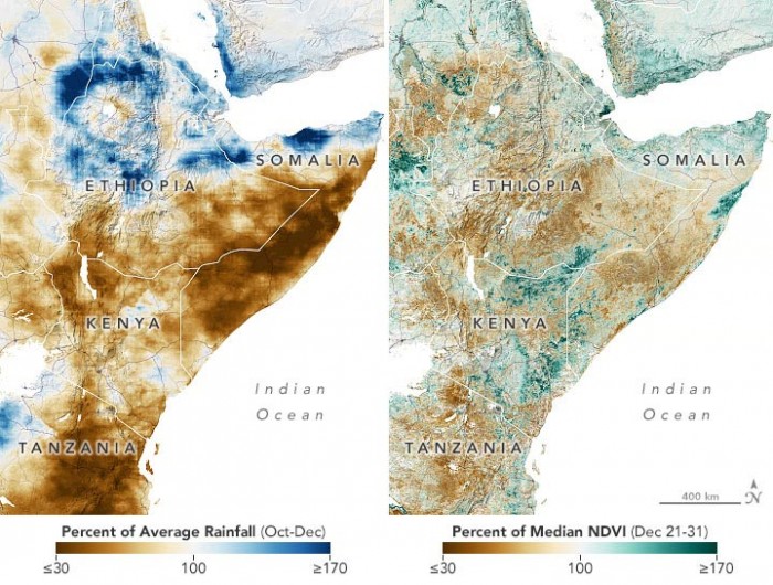 研究警告：雨季降雨量不足在东非造成大规模的粮食危机