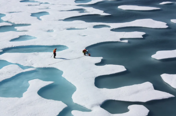 NASA卫星发现北极海冰以“可怕”的速度变薄