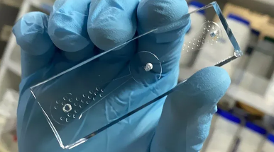 科学家用线虫打造的芯片：可更快更精准检测癌症