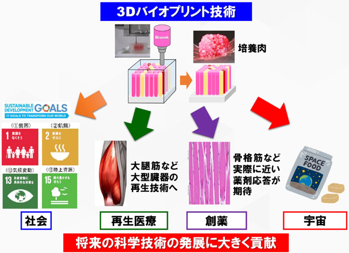 大阪大学和岛津制作所研发出利用3D打印机制造“培养肉”的技术