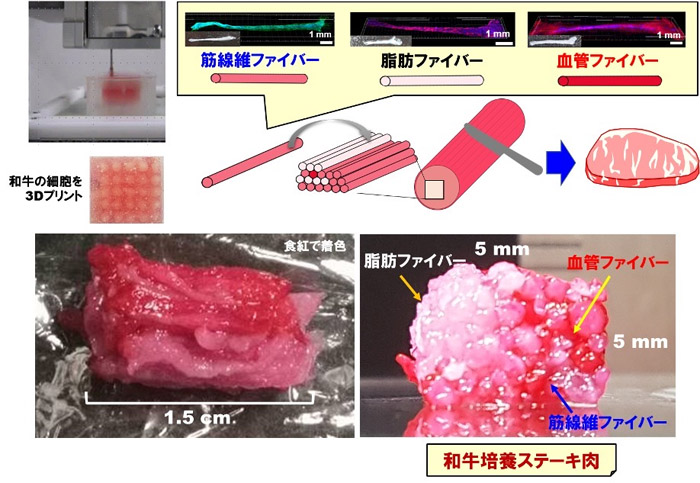 大阪大学和岛津制作所研发出利用3D打印机制造“培养肉”的技术
