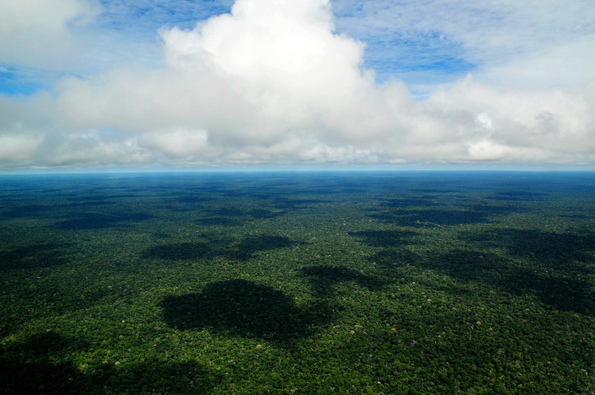 森林砍伐影响远超碳：一系列生物物理因素正在被它所改变