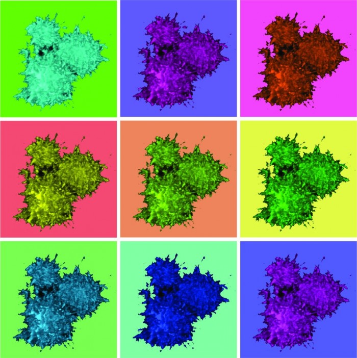 科学家利用羊驼独特的免疫系统开发新技术 可用于缓解慢性炎症