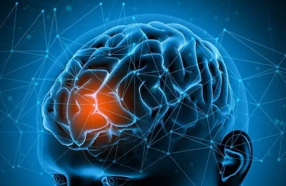 科学家首次将AI元学习引入神经科学 有望提升脑成像精准医疗