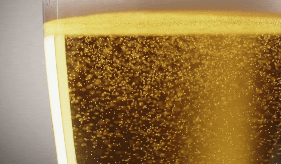 研究表明每天喝一瓶啤酒可以增加肠道细菌的多样性