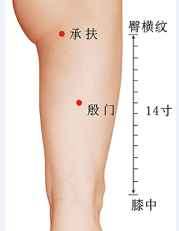 跟着彩云学习穴位：21个门穴