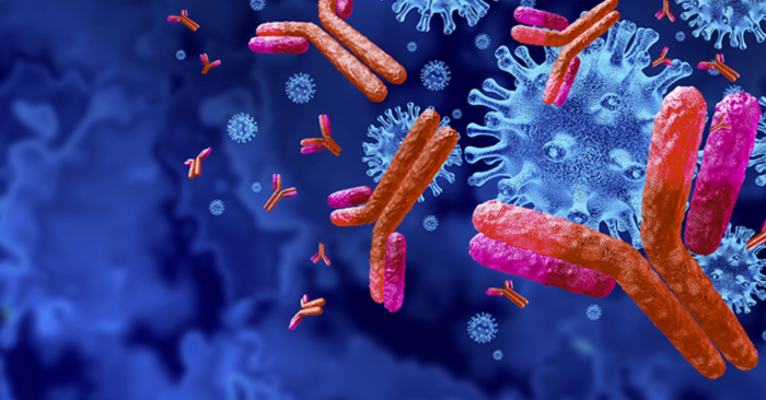 实验室测试显示一种新抗体能中和所有已知的新冠病毒变种