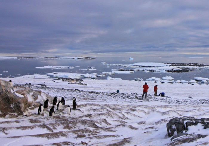 南极冰川正以5500年来最快的速度融化消失