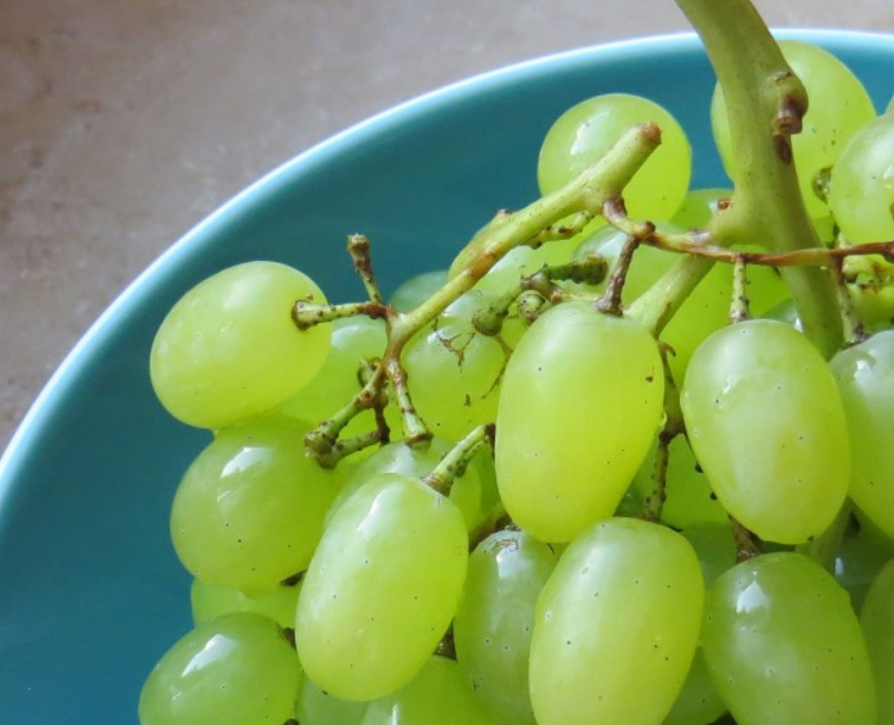 研究显示葡萄的摄入对健康和寿命都有“显著”影响