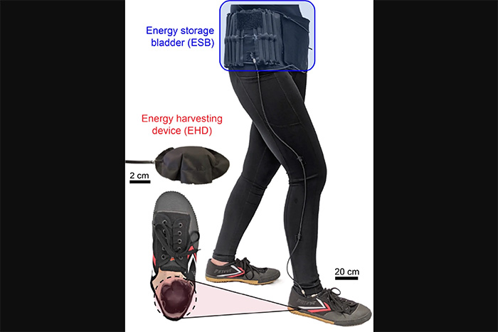 科学家开发实验性系统 利用脚步为气动假肢提供动力