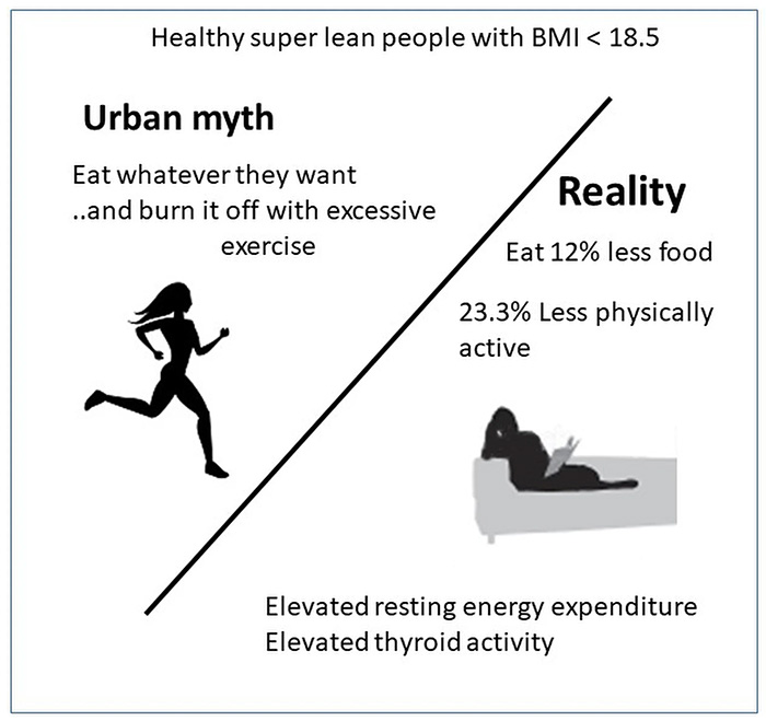 研究发现体重指数（BMI）低的人并不更加活跃