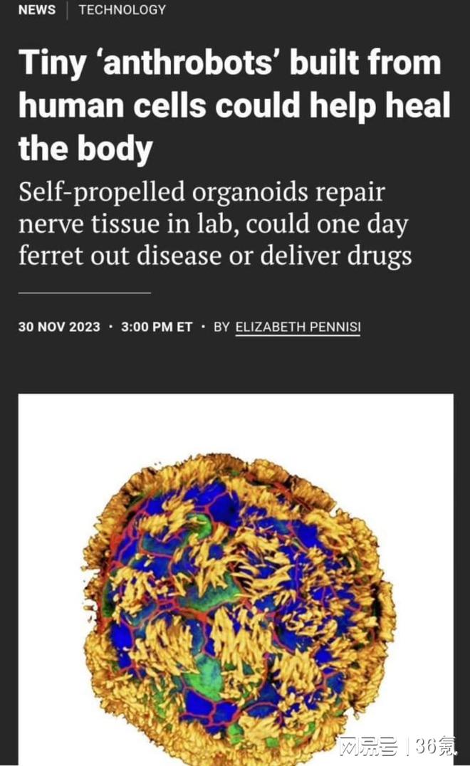 人体细胞机器人问世：有自然寿命，可修复受损组织