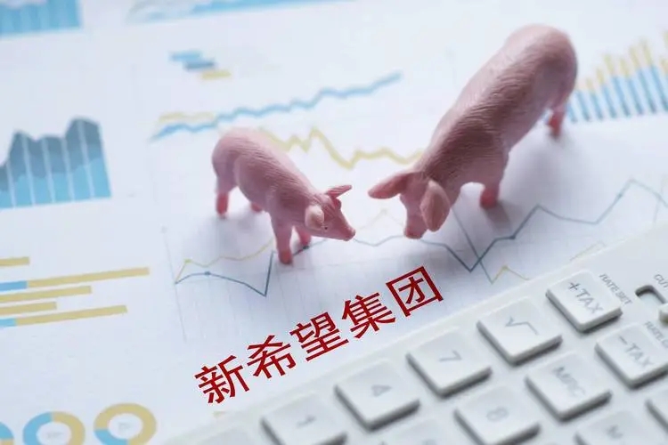 连续亏损 募资自救 新希望面临“生存之战”